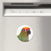 Goldenes Schloss Magnet (In Situ (Geschirrspüler))