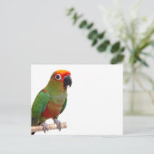 Goldenes Schloss Postkarte (Stehend Vorderseite)