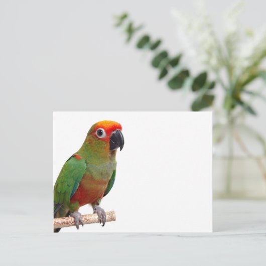 Goldenes Schloss Postkarte (Stehend Vorderseite)