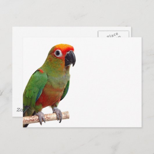 Goldenes Schloss Postkarte (Vorne/Hinten)