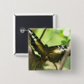 Goldenes Schmetterlings-Quadrat-Button Button (Vorne & Hinten)