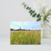 Goldenes Sommerfeld Postkarte (Stehend Vorderseite)