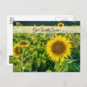 Goldenes Sonnenblumenfeld - bald wieder auf Postka Postkarte (Vorne/Hinten)
