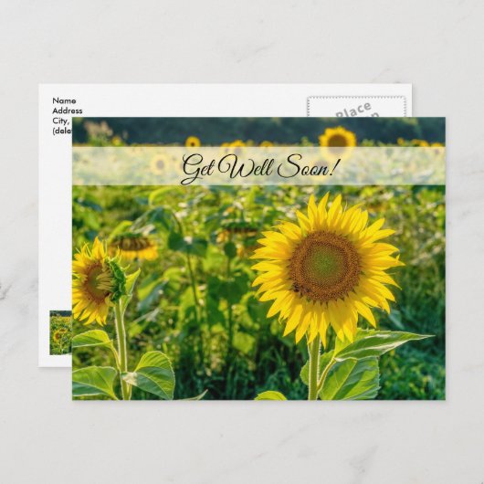 Goldenes Sonnenblumenfeld - bald wieder auf Postka Postkarte (Vorne/Hinten)