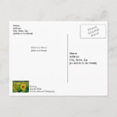 Goldenes Sonnenblumenfeld - bald wieder auf Postka Postkarte (Rückseite)