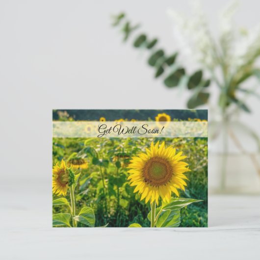 Goldenes Sonnenblumenfeld - bald wieder auf Postka Postkarte (Stehend Vorderseite)