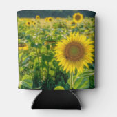 Goldenes Sonnenblumenfeld Dosenkühler (Rückseite)