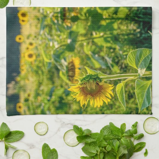 Goldenes Sonnenblumenfeld Geschirrtuch (Gefaltet)