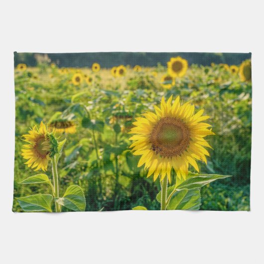 Goldenes Sonnenblumenfeld Geschirrtuch (Horizontal)