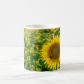 Goldenes Sonnenblumenfeld Kaffeetasse (Mittel)