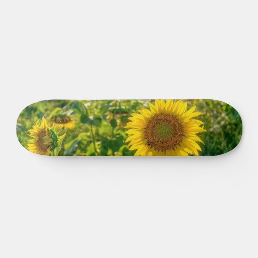 Goldenes Sonnenblumenfeld Skateboard (Horizontal)