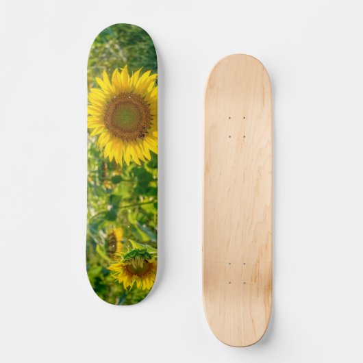 Goldenes Sonnenblumenfeld Skateboard (Vorderseite)