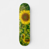 Goldenes Sonnenblumenfeld Skateboard (Vorne)