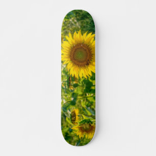 Goldenes Sonnenblumenfeld Skateboard