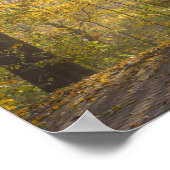 Goldenes Sonnenlicht durch Herbstbäume Poster (Ecke)