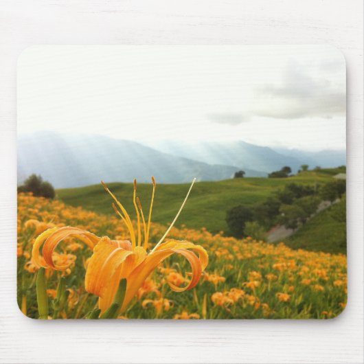 Goldenes Taglilie-Blume Tal Mousepad (Vorne)