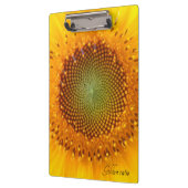 Goldenes Verhältnis, Sonnenblumenübersicht Klemmbrett (Links)