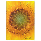Goldenes Verhältnis, Sonnenblumenübersicht Klemmbrett (Rückseite)