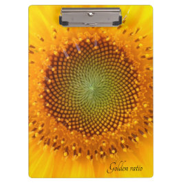 Goldenes Verhältnis, Sonnenblumenübersicht Klemmbrett
