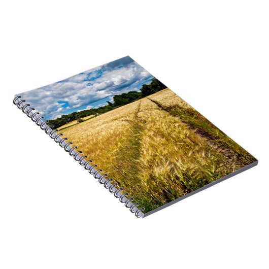 Goldenes Weizenfeld im Herbstlicht Notizblock (Rechte Seite)