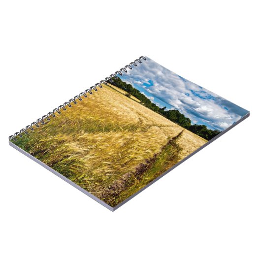 Goldenes Weizenfeld im Herbstlicht Notizblock (Linke Seite)