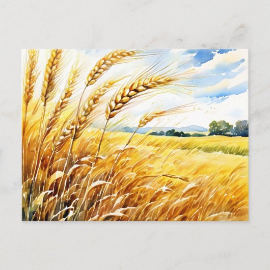 Goldenes Weizenfeld im Sommer schwingen Postkarte (Vorderseite)