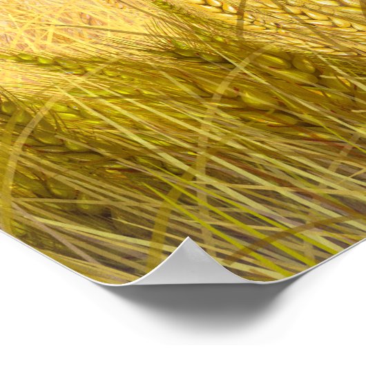 Goldenes Weizenfeld Sonnenuntergang Ölgemälde Somm Poster (Ecke)