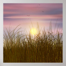 Goldenes Weizenfeld Sonnenuntergang Ölgemälde Somm