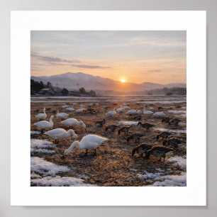 Goldenes Winterfeld mit Schwänen und Gänsen –  Poster