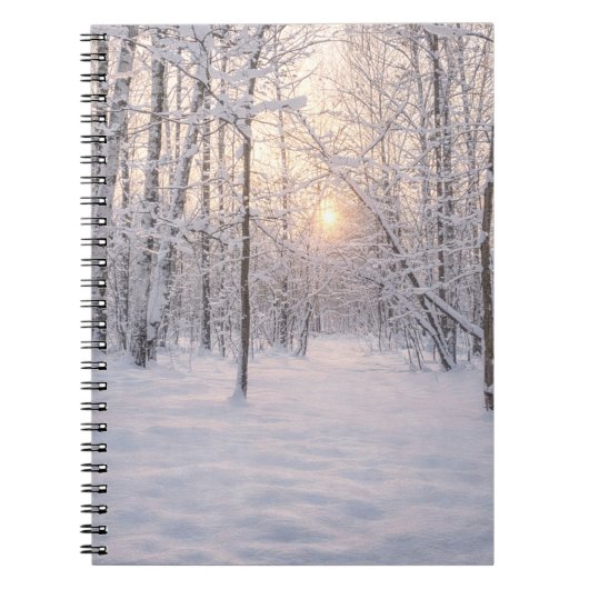 Goldenes Winterlicht Notizblock (Vorderseite)