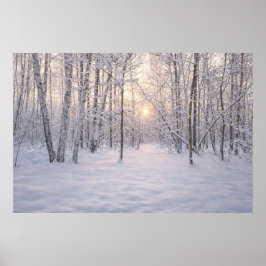 Goldenes Winterlicht Poster