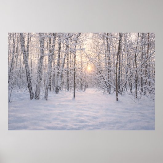 Goldenes Winterlicht Poster (Vorne)