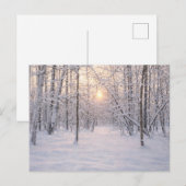 Goldenes Winterlicht Postkarte (Vorne/Hinten)