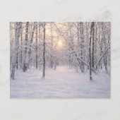 Goldenes Winterlicht Postkarte (Vorderseite)