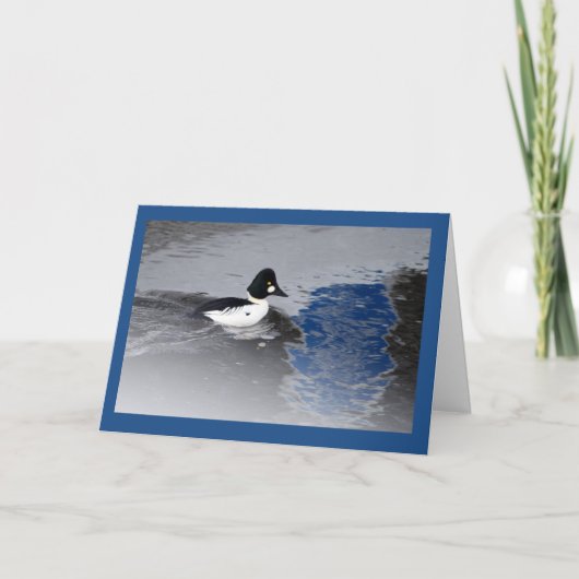 Goldeneye Duck Karte (Vorderseite)