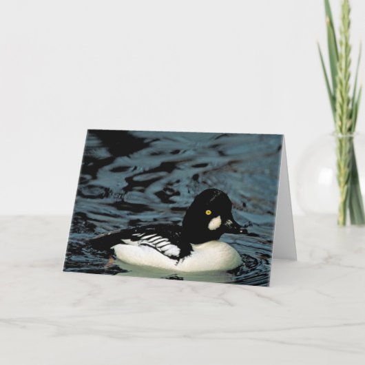 Goldeneye Duck Karte (Vorderseite)