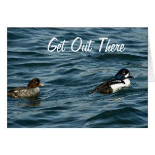 Goldeneye duckt sich dort draussen