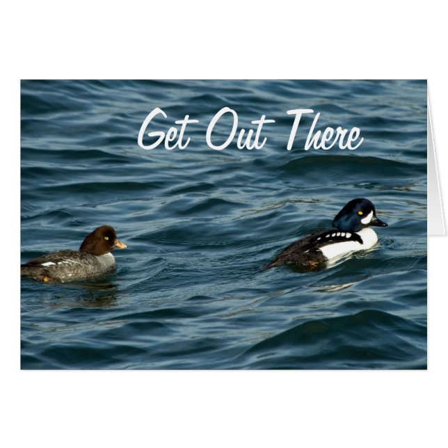 Goldeneye duckt sich dort draussen (Vorderseite (Horizontal))