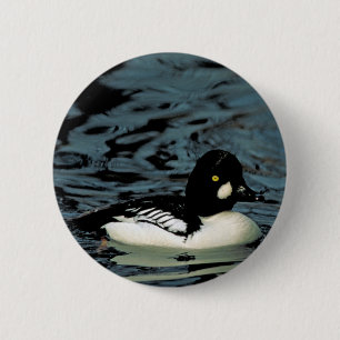 Goldeneye-Ente Button