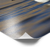 Goldeneye-Ente Fotodruck (Ecke)