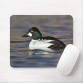 Goldeneye-Ente Mousepad (Mit Mouse)