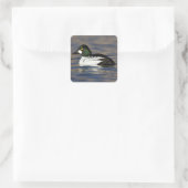 Goldeneye-Ente Quadratischer Aufkleber (Tasche)