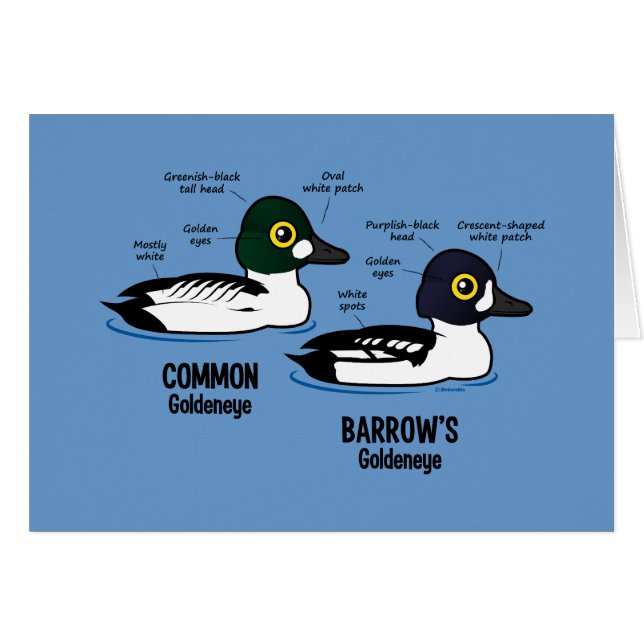 Goldeneye gegen Goldeneye (Vorderseite (Horizontal))