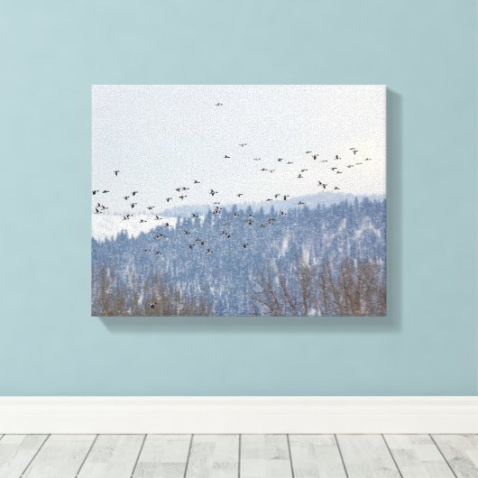 Goldeneye Leinwanddruck (Insitu (Holzboden))