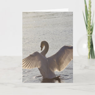 GoldenHourSwan Karte