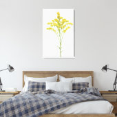 Goldenrod-Blume (Solidago juncea), Nordamerika Leinwanddruck (Insitu (Schlafzimmer))