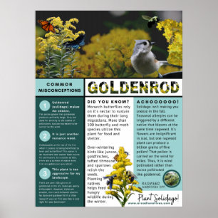 Goldenrod Fehlannahmen und Fakten Blue Theme Poster
