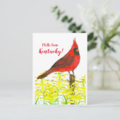 Goldenrod Kardinal Hello From Kentucky Postkarte (Stehend Vorderseite)