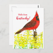 Goldenrod Kardinal Hello From Kentucky Postkarte (Vorne/Hinten)