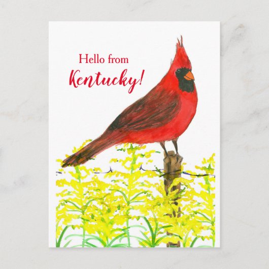 Goldenrod Kardinal Hello From Kentucky Postkarte (Vorderseite)